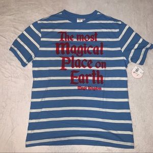 Magic Kingdom Park Striped Shirt Adult (M)